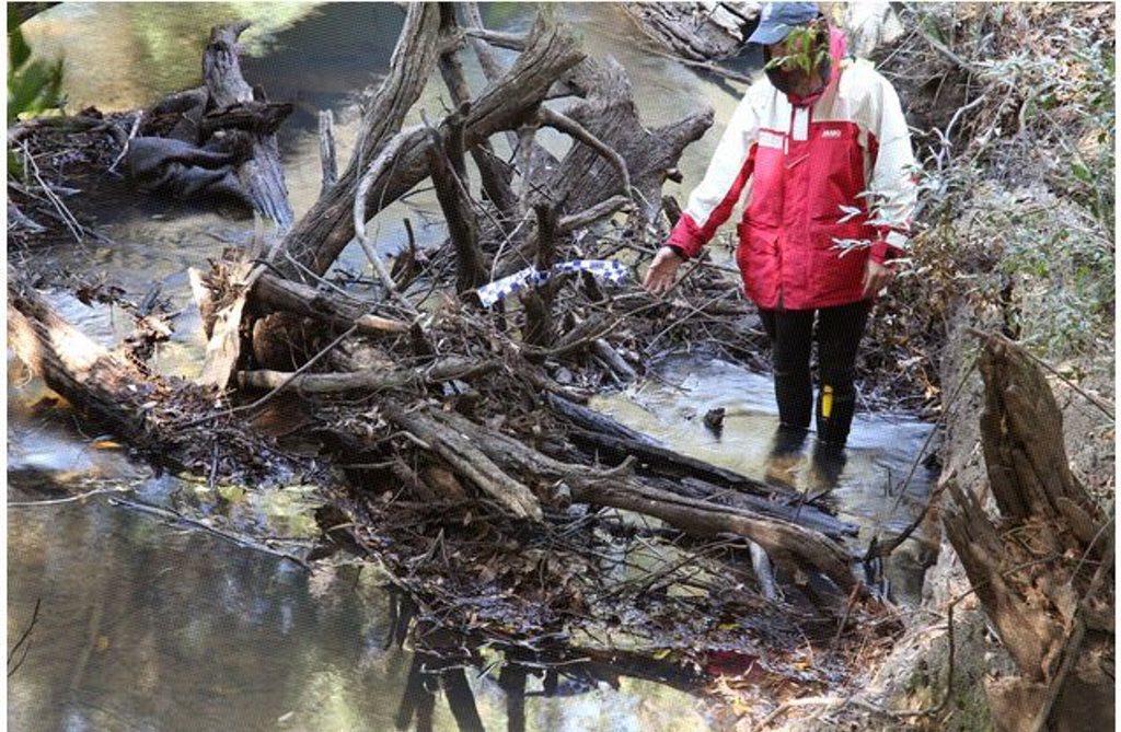 The location on Coochin Creek where police divers located a pair of Bonds underpants. The location on Coochin Creek where police divers located a pair of Bonds underpants.